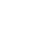 Vision